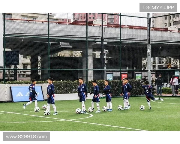 K1体育39152：让你与朋友一起享受体育的激情与乐趣