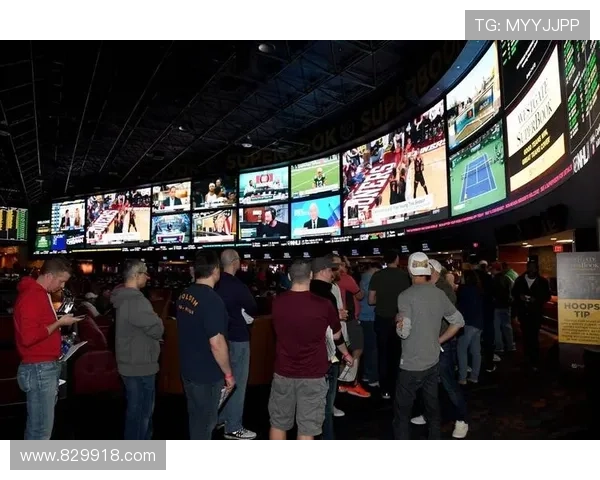 k1体育平台官网：体育博彩中的常见误区与真相