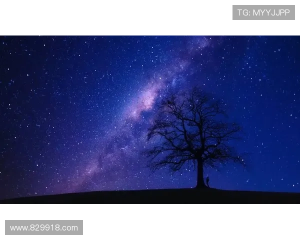 在星空的陪伴下,享受运动的每一刻 在星空的陪伴下,享受运动的每一刻